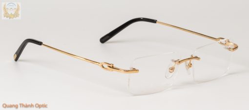 Gọng Kính Cartier CT00500 Titanium