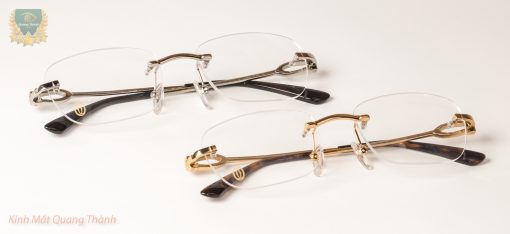 Gọng Kính Cartier CT02900 Titanium