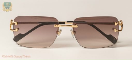 Kính Cartier CT0330S Titanium