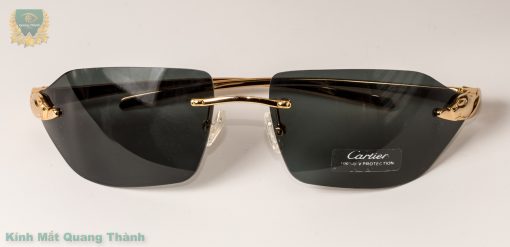 Kính Cartier T4252157 mắt kính phân cực Polarized chống loá, cản tia UV400
