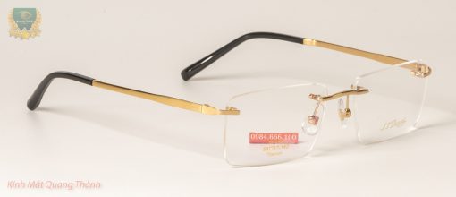 Gọng kính Dupont DP3130 Titanium